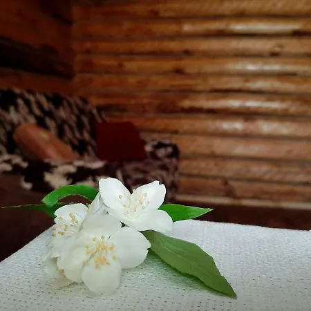 Apartamento затишна хата