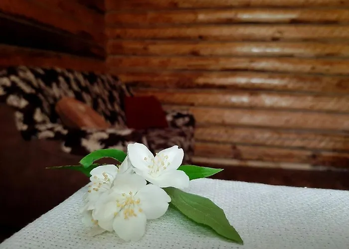 Daire затишна хата